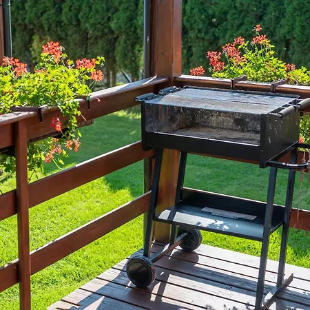 Letniskowe Poznaniak 1 Dom wakacyjny Wicie (West Pomeranian)